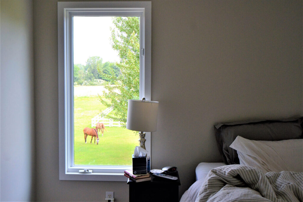  | Blue Ribbon Exteriors & Construction